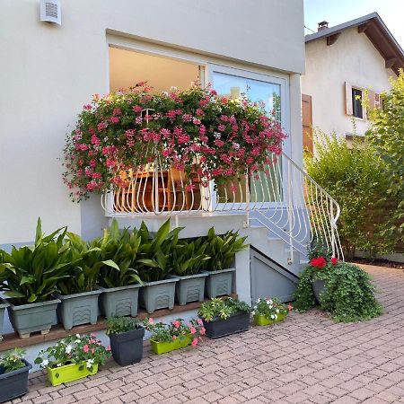 Appartement Le Jardin Lingolsheim Exterior foto
