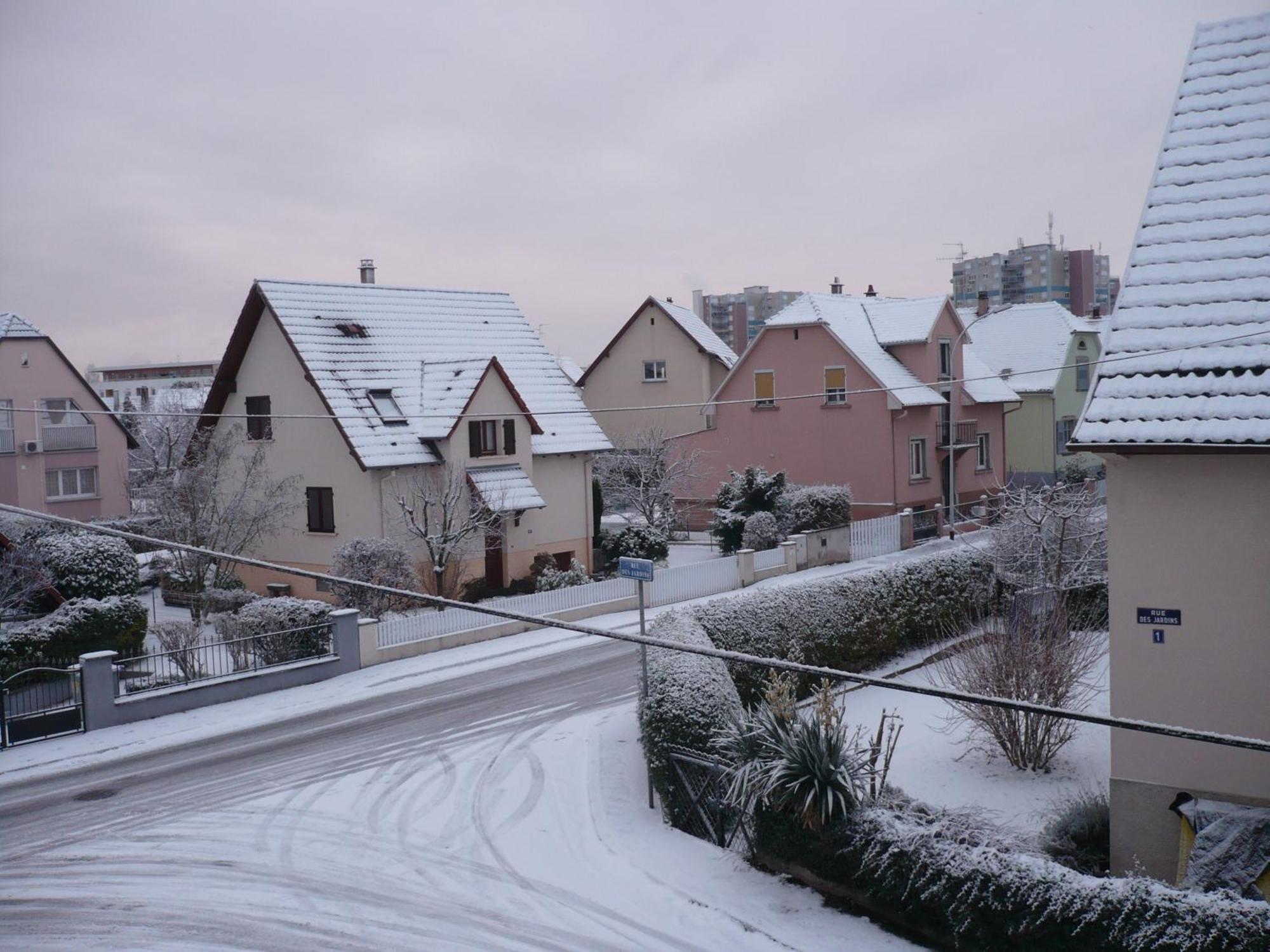 Appartement Le Jardin Lingolsheim Exterior foto